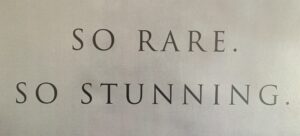 Starting from the first mile