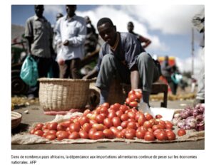 Pourquoi l’Afrique doit gagner sa souveraineté alimentaire