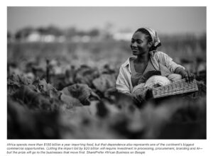 Farmed wrong or framed wrong? Africa’s $20bn food import crisis&nbsp; – African Business